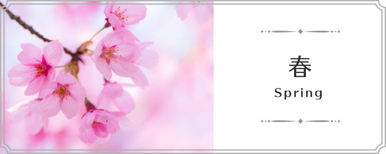 春におすすめ