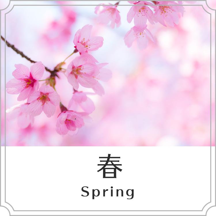 春におすすめ