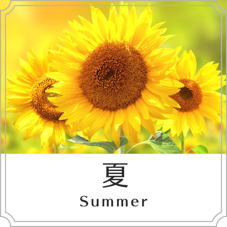夏におすすめ